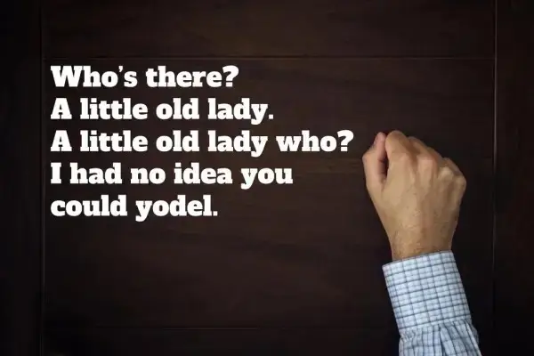 Stupid Knock-Knock Jokes