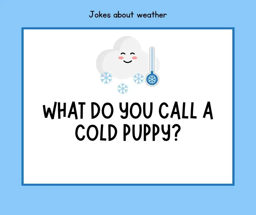 Weather and Season Punny Jokes